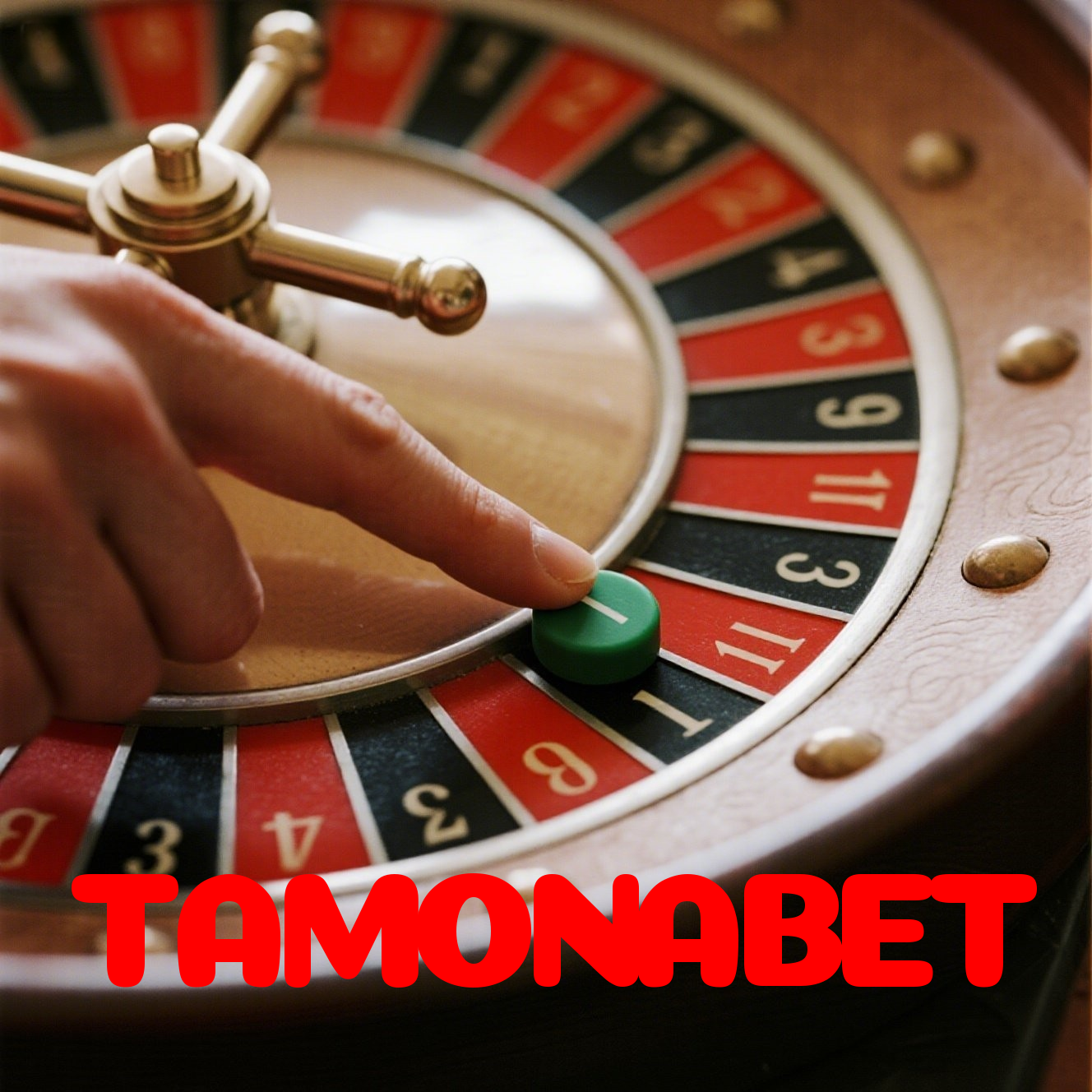 Segurança no TAMONABET